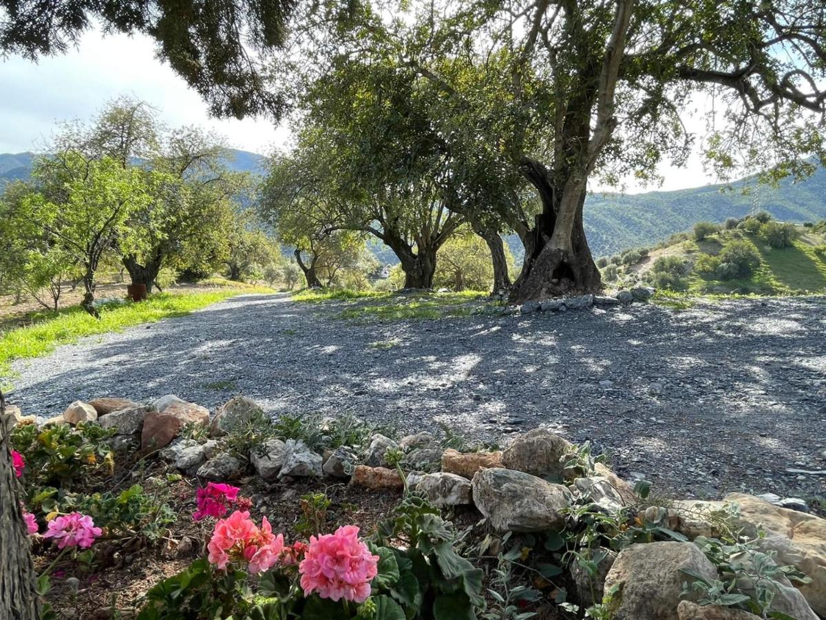 Alojamiento Rural El Paraiso D엘 초로 외부 사진